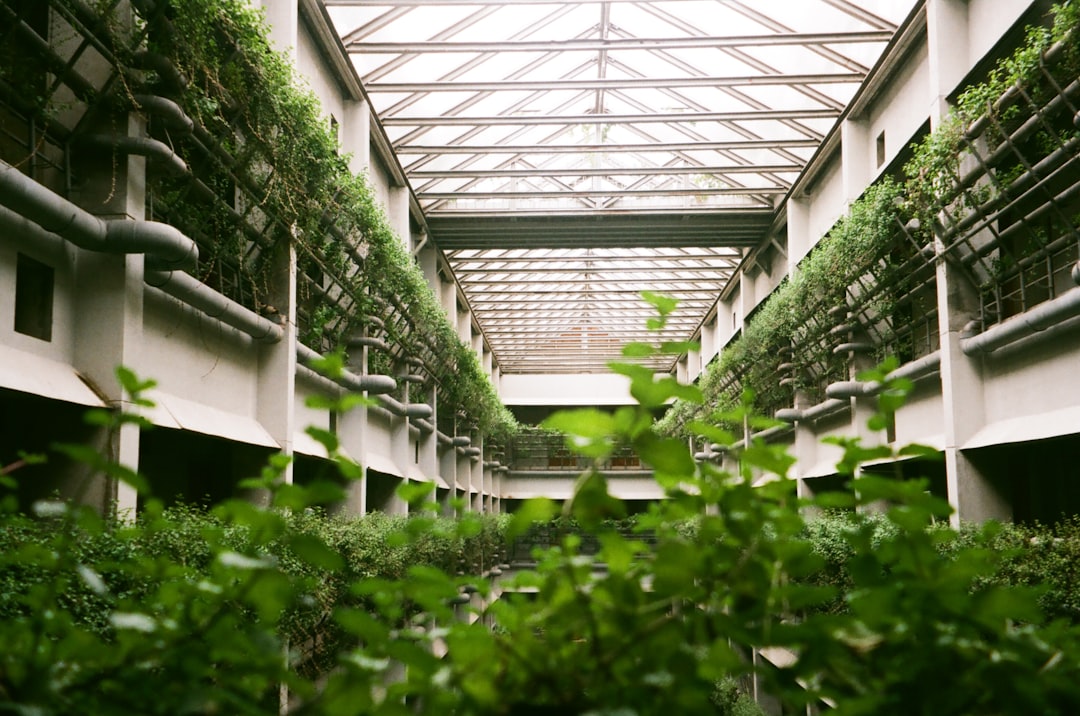 Green CRE Now Commands Rent and Value Premiums